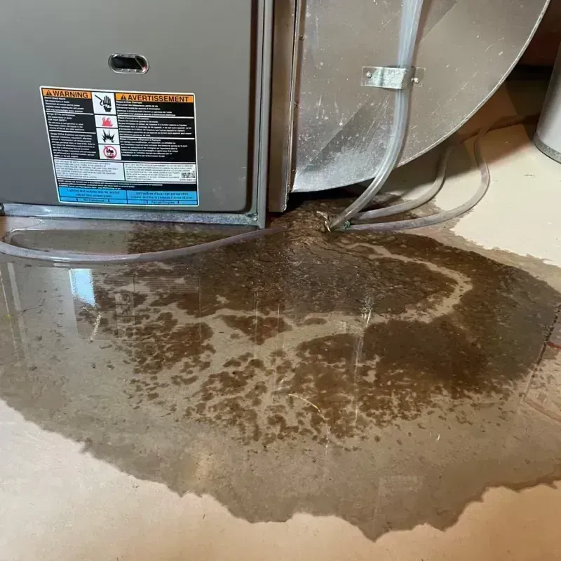 Appliance Leak Cleanup in Lincoln Square, IL